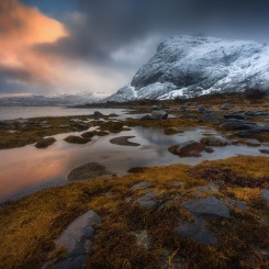 Ostatni blask przed burzą