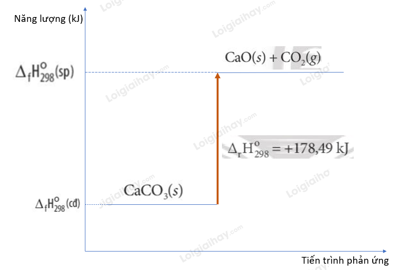 Biểu đồ enthalpy phản ứng