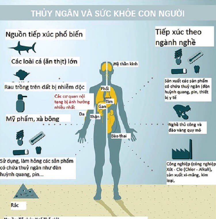 Biểu hiện ngộ độc thủy ngân