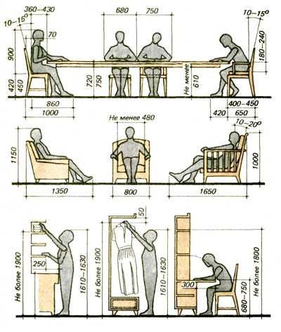 Các loại hình nhân trắc học