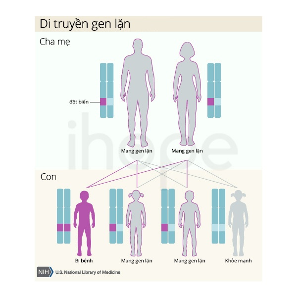 Gia đình đa dạng di truyền