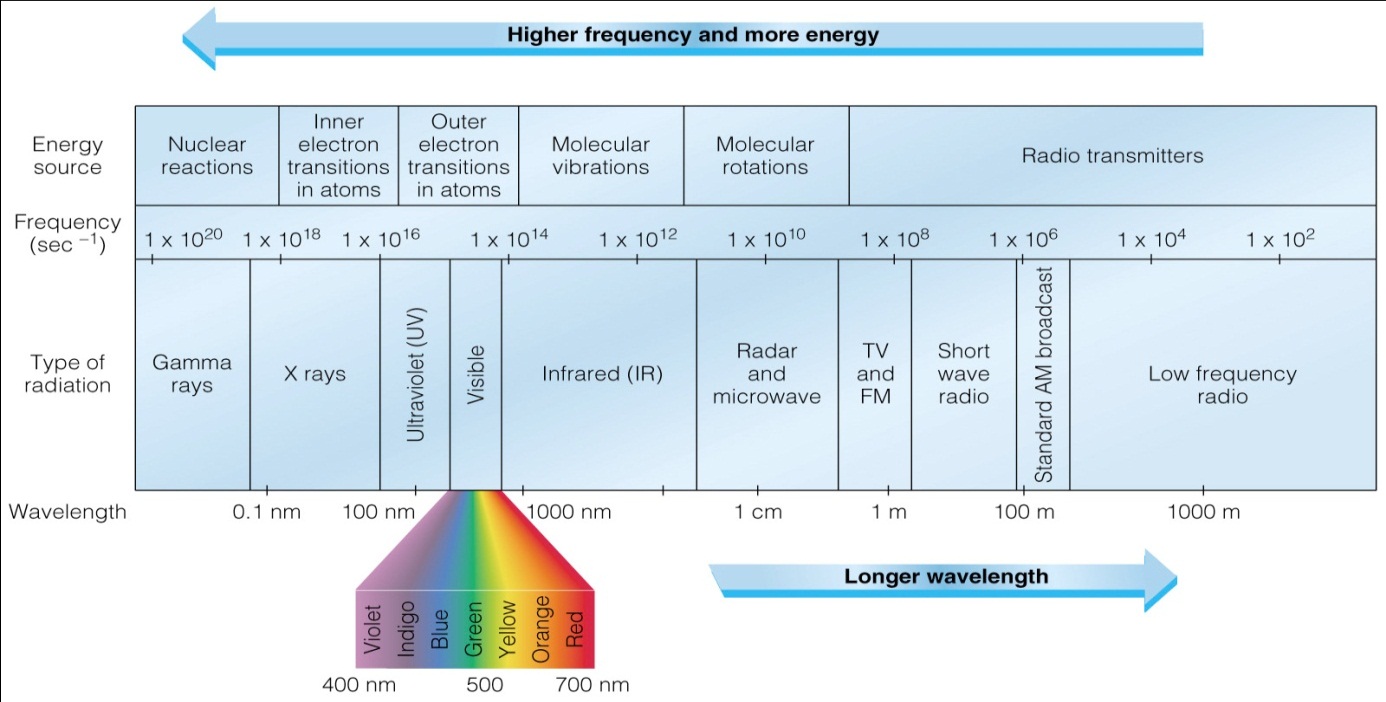 Hiệu ứng chắn electron lớp trong