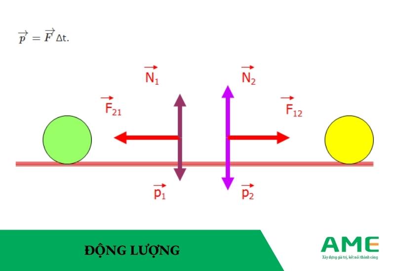 Hướng của động lượng