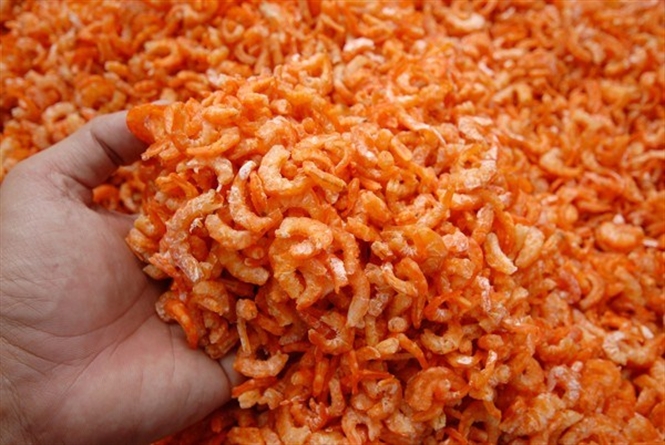Kho nguyên liệu biến dị