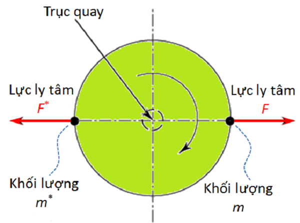 Lực ly tâm và phồng triều