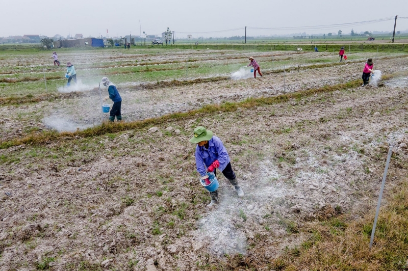 Nông dân cải tạo đất