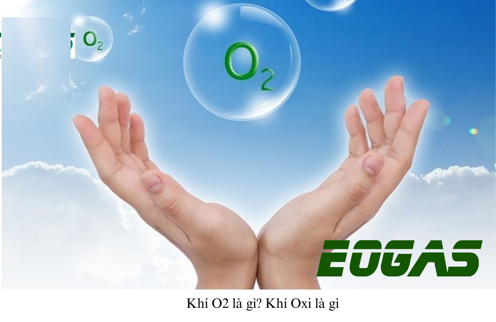 Oxi duy trì sự sống