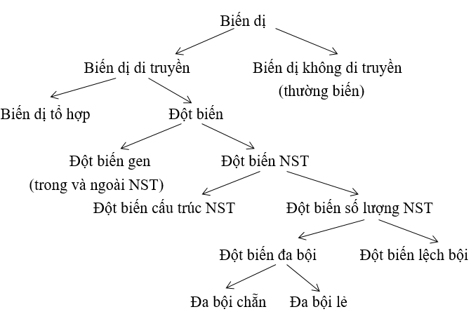 So sánh các loại biến dị