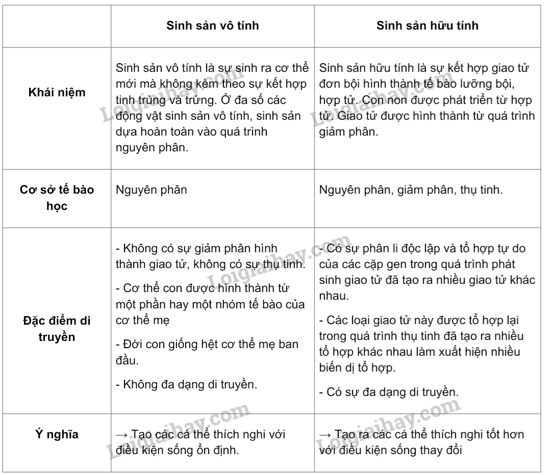 So sánh sinh sản hữu tính/vô tính