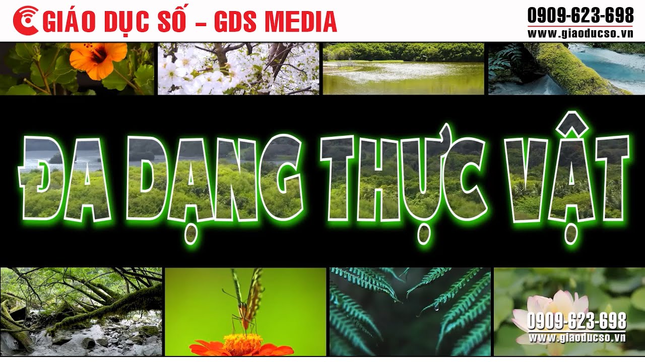 Sự đa dạng thực vật
